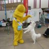 平成27年10月10日(土)市原市リサイクルフェアに参加しました